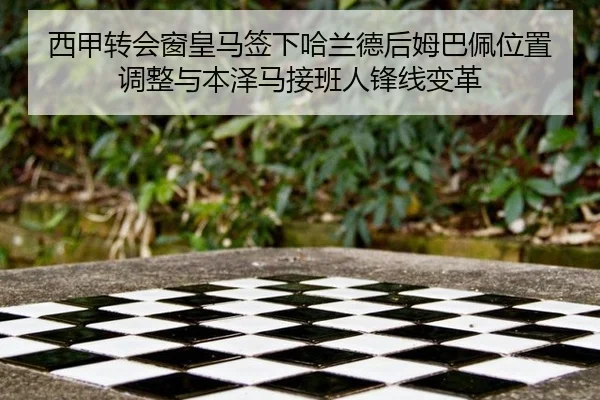 xi-jia-zhuan-hui-chuang-huang-ma-qian-xia-ha-lan-de-hou-mu-ba-pei-wei-zhi-tiao-zheng-yu-ben-ze-ma-jie-ban-ren-feng-xian-2-925.jpg